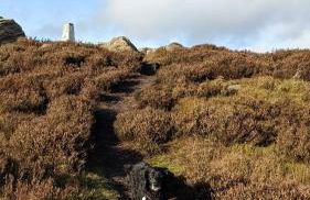 Folly View - Private, peaceful apartment with stunning views. - Foto 71