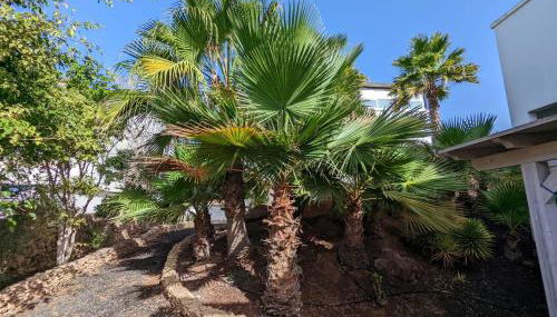 Costa Calma Apartment OASIS - Foto 2, Garden, Garden view