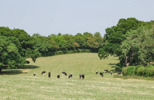 Tilia Barn - Photo 48