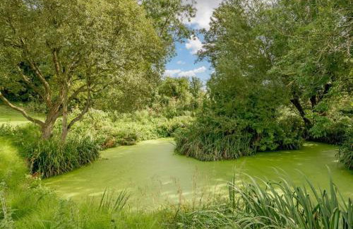 5 Bed in Litton Cheney oc-78462 - Foto 22