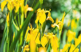 Gîte du Rouard - Foto 23