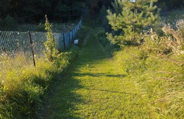 Garden House nad jeziorem Szelment - Foto 40