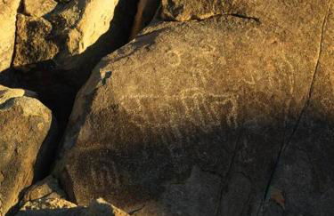 Neutra Home Joshua Tree Luxury Retreat Pool and Spa - Foto 22