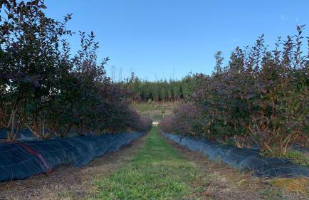 Quinta Vale Salgueiro - Foto 43