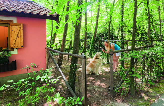 Bungalow Village Le Caravelle - by Mamberto S.r.l. - Photo 22