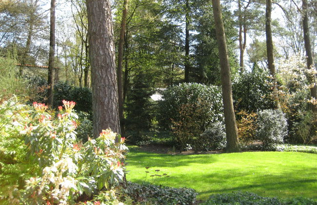 3 bedroom House in Lochem with garden and terrace - Photo 12