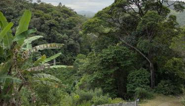 Sítio em São Pedro de Alcântara - Foto 5