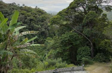 Sítio em São Pedro de Alcântara - Foto 5
