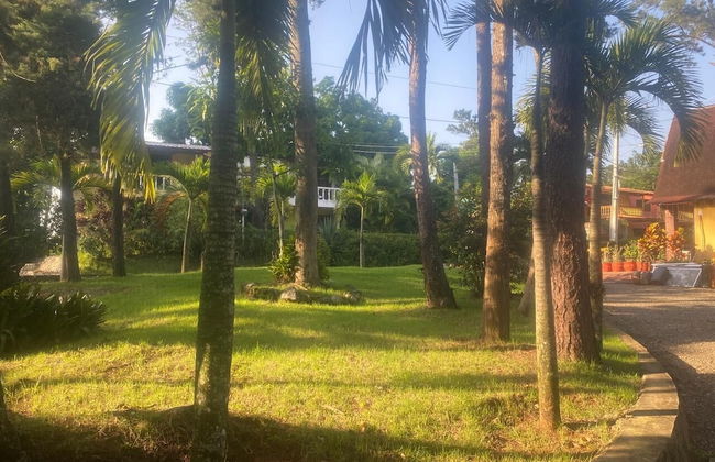 Brisas de los Alpes - Foto 15