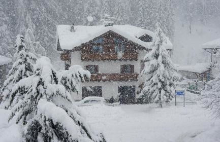 Appartamento Cogolo con terrazza 7 posti - Foto 3