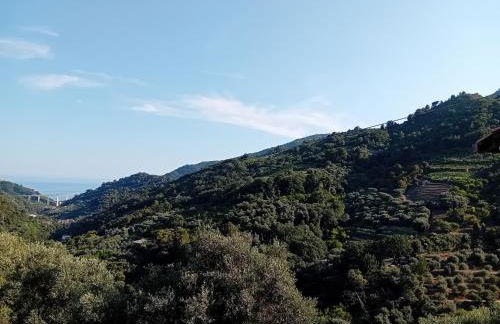 La casetta dei 4 gatti - Foto 9