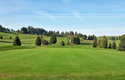 The Garden Studio - Foto 20