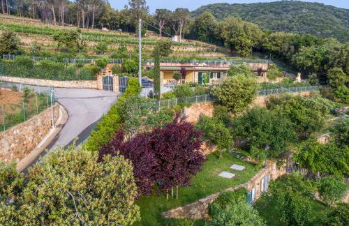 Borgo dell'Uccellaia - Smeraldo - Foto 29