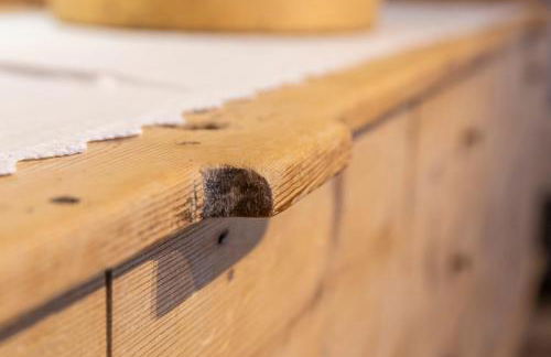 Cesa dele Angele - Foto 16