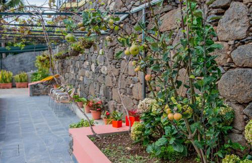 Countesses Villa - Foto 7