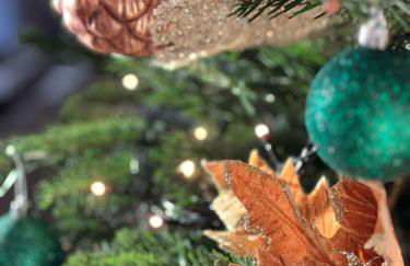 Tern Place - Photo 38