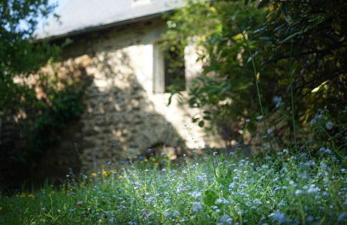 Le Papillon Bleu - Foto 11