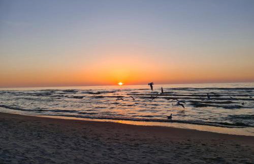 Bałtyk 44 na Wydmach - Foto 20