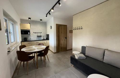 Apart Home Bieszczady - Foto 12