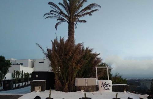 ALOELUX VILLA ! - Private Villa with Jacuzzi, cinema ,massage ,wonderful view, art desing villa - Photo 27