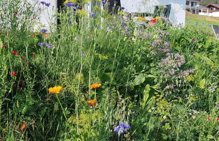 Wohnung Wiesengrün - Osserblick - Photo 19