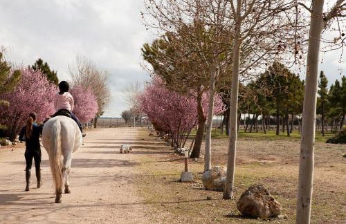 Las Viñas Pinilla - Foto 21