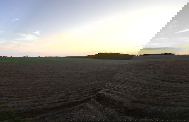 Ferienhaus Mirow-Lärz - Kamin Wald Ruhe - Foto 41