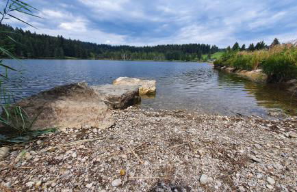 AMW Ferienwohnungen - Foto 54