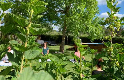 Quinta Vale Salgueiro - Foto 35