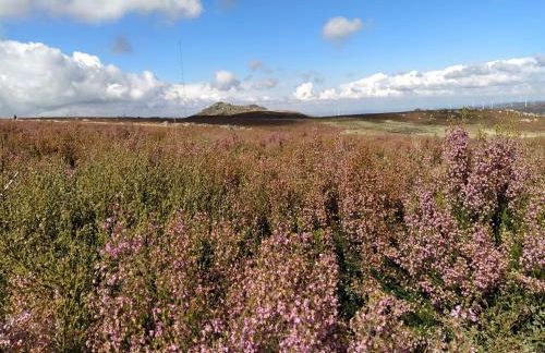 Aldeia de Moura Morta - Foto 9