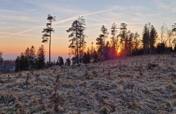 Bieszczadzkie Nocowanie - komfort w sercu natury - Foto 15