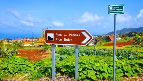 Cozy Santana House Near Pico Ruivo, Perfect Base for Levadas & Hiking Trails - Foto 4, Garden view