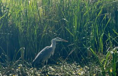 The Thimble static Holiday Home - Foto 23