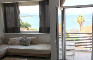 Aristotelia Gi - Panorama - Photo 11