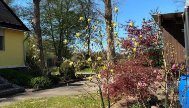 Haus Wald und Wiese Wohnung Wiese - Foto 3