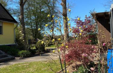 Haus Wald und Wiese Wohnung Wiese - Foto 3