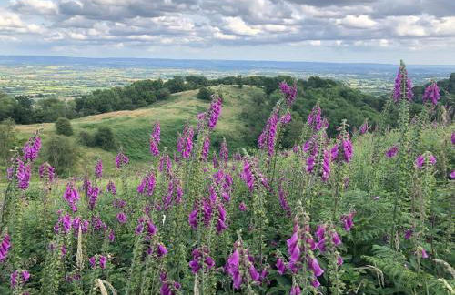 Myrtleberry Studio BnB - Foto 34