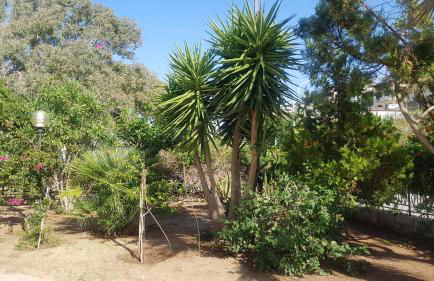 Casa Vacanze Sea-Life - Foto 20