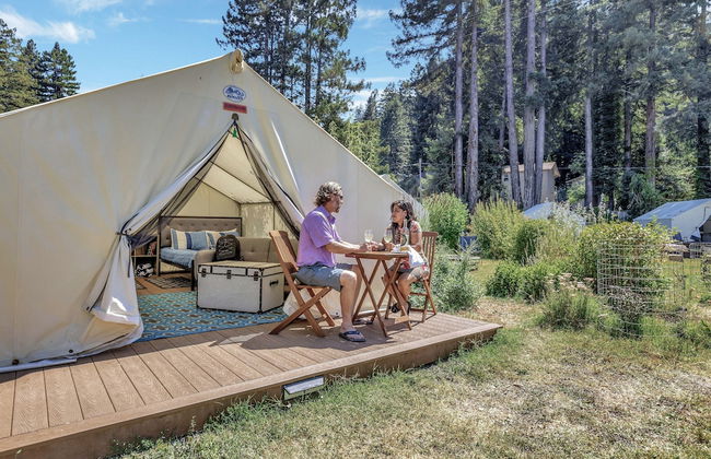 Surrey Resort - Foto 9