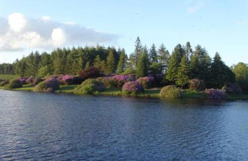 The Dairy - Quaint 1Br in Dartmoor National Park - Foto 10