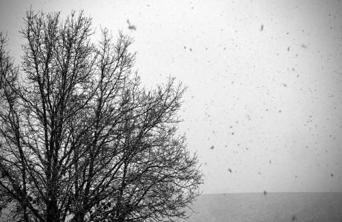 Casa Rural Teja Vieja - Foto 12