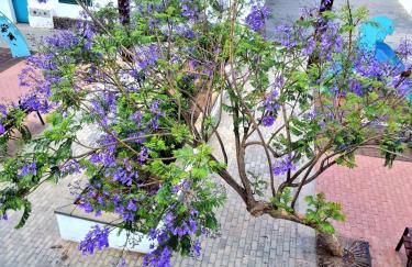 Apartamento Margarita - Foto 18