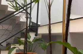 Casa confortável com piscina - Foto 10