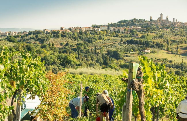 Agriturismo Il Casolare di Bucciano - Photo 35