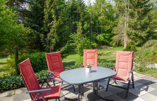 Zum munteren Eichhörnchen - Foto 4