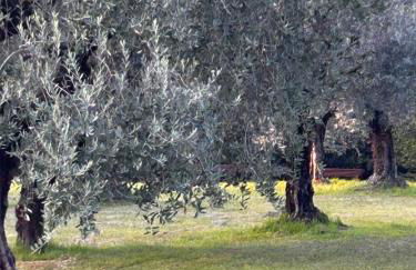 Punta Del Corno Agriturismo - Foto 44