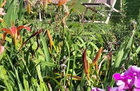 Domki i Apartamenty Rogate Anioły - Photo 25