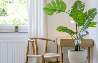 Gemütlich l Zentral l Parken l Universität l Balkon I Für 6 - Foto 6