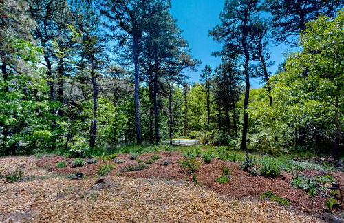 Tall Pines - Foto 42