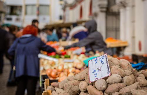 Greice Homes - Villa Carob Tree - Foto 52